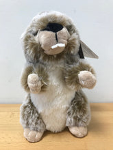 Charger l&#39;image dans la galerie, Peluche Marmotte 18 cm
