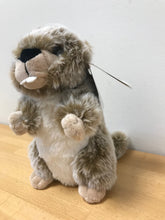 Charger l&#39;image dans la galerie, Peluche Marmotte 18 cm
