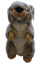 Charger l&#39;image dans la galerie, Peluche Marmotte 18 cm
